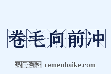 卷毛向前冲是什么意思的图片